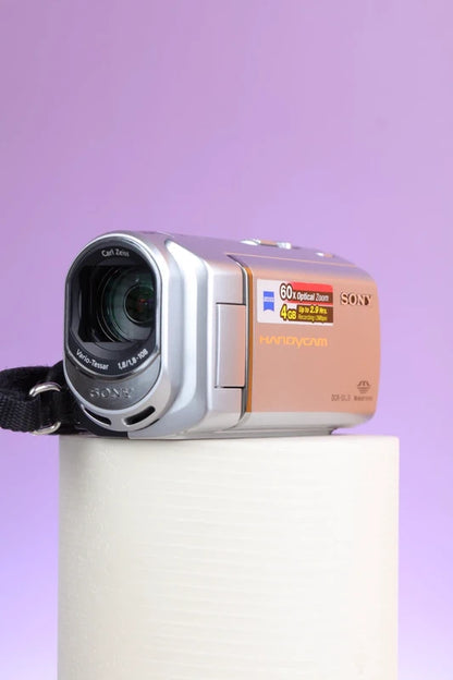 Sony Handycam DCR-SX30E Camcorder