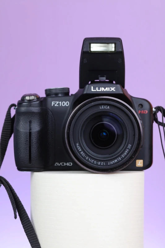 Panasonic Lumix DMC-FZ100 (Black) Digital Camera