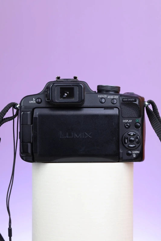 Panasonic Lumix DMC-FZ100 (Black) Digital Camera