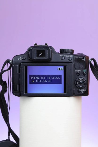 Panasonic Lumix DMC-FZ100 (Black) Digital Camera