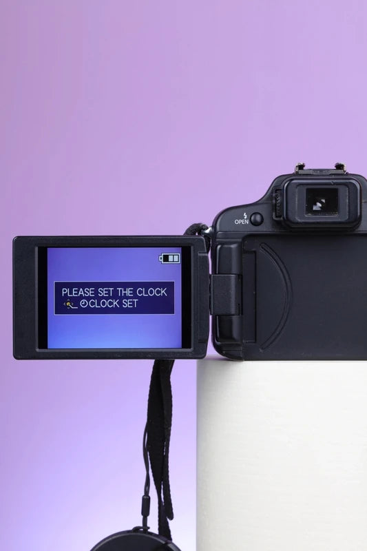Panasonic Lumix DMC-FZ100 (Black) Digital Camera