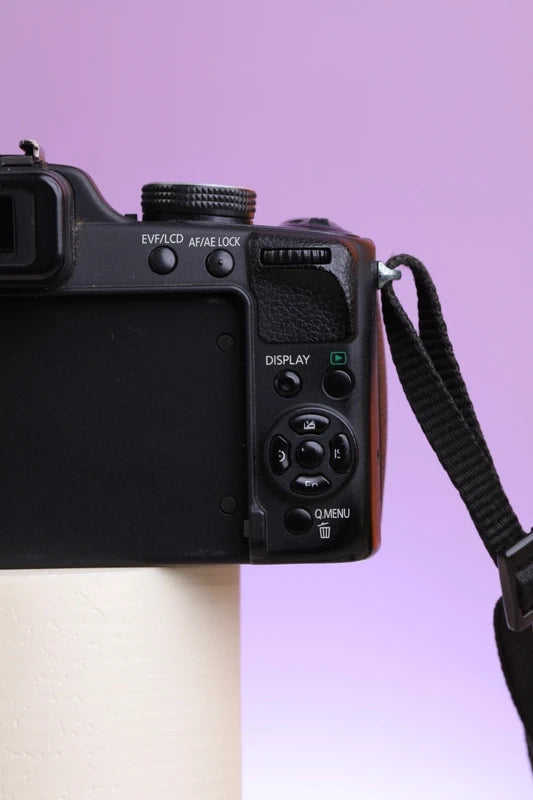 Panasonic Lumix DMC-FZ100 (Black) Digital Camera