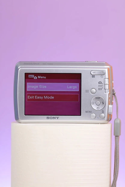 Sony Cyber-shot DSC-S3000 (Silver) Digital Camera