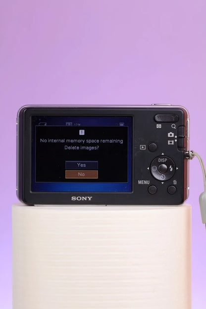 Sony Cyber-shot DSC-W310 (Silver) Digital Camera