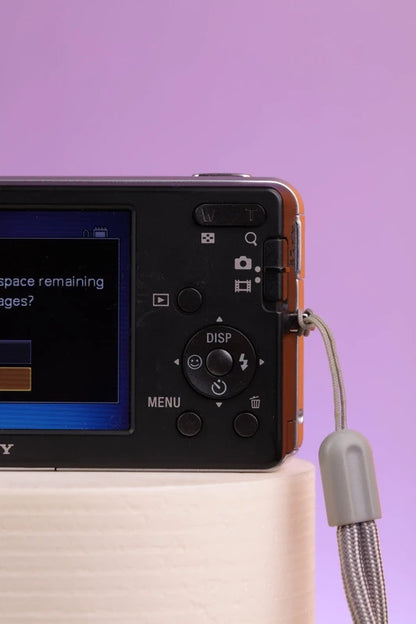 Sony Cyber-shot DSC-W310 (Silver) Digital Camera